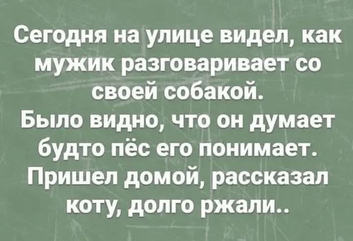 Screenshot_20240316-211625~2.webp