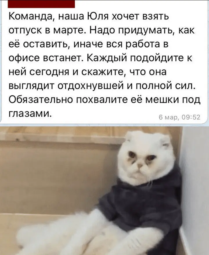 Screenshot_20240317-160617~2.webp
