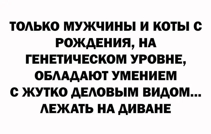 Screenshot_20240317-201502~2.webp
