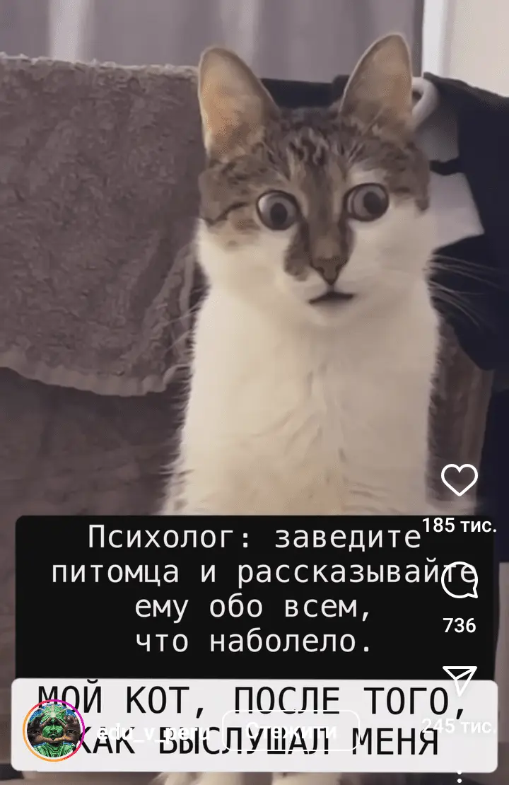 Screenshot_20240317-221127.webp