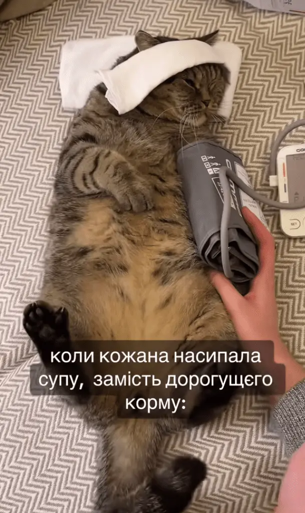 Screenshot_20240318-002658.webp
