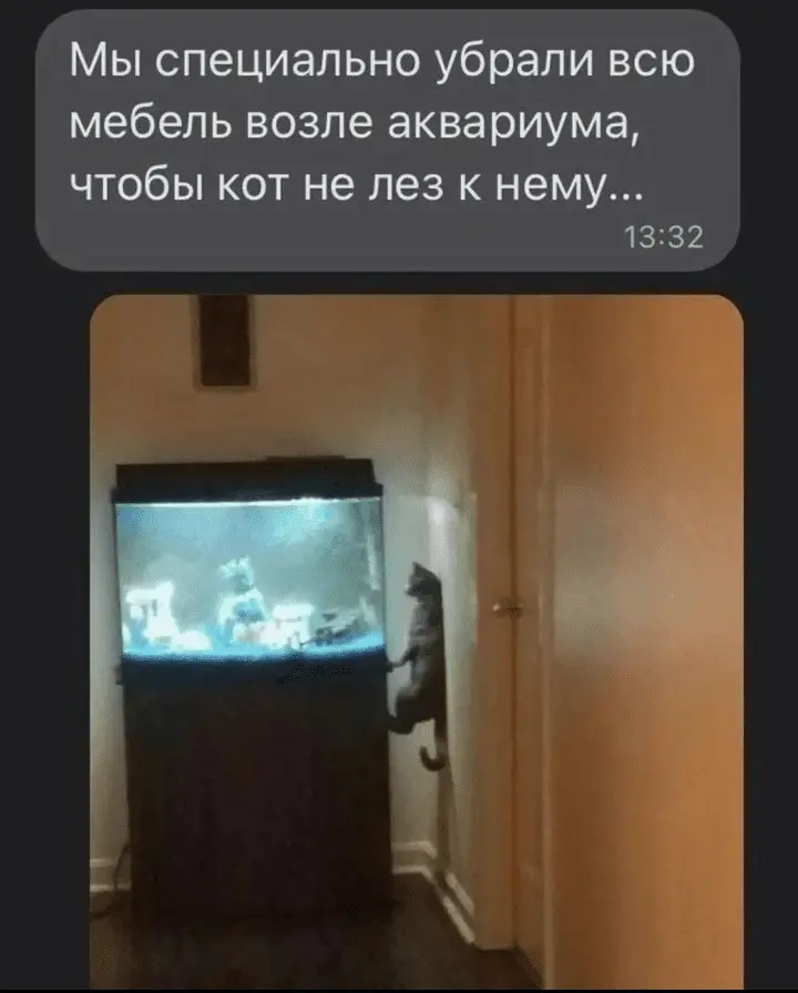 Screenshot_20240319-192611~2.webp