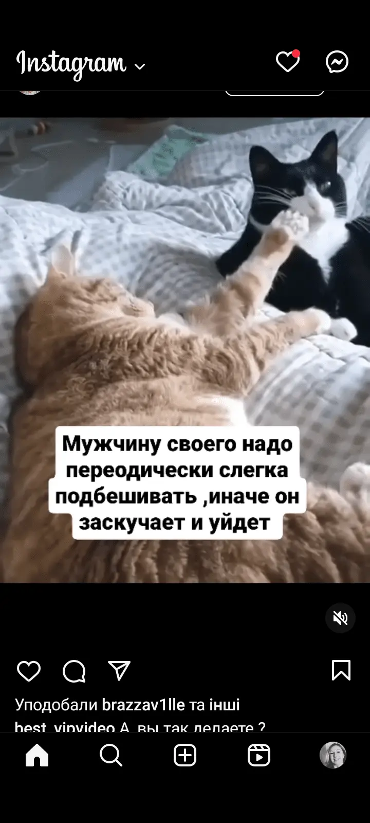 Screenshot_20240322-175514.webp