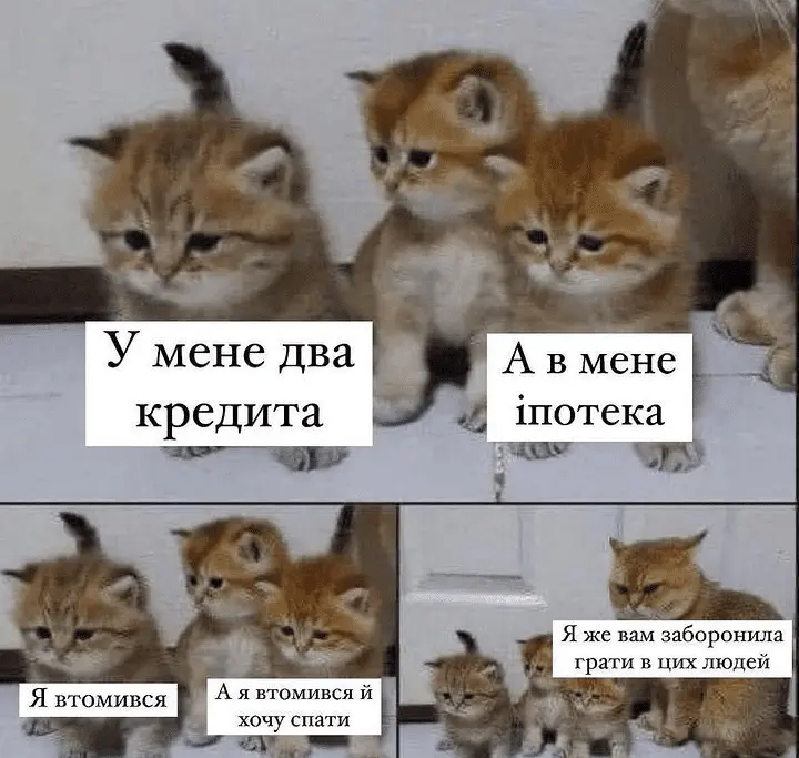 Screenshot_20240324-083708.webp