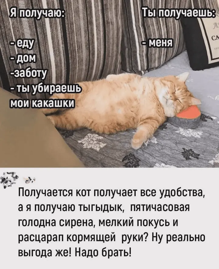 Screenshot_20240324-203742~2.webp