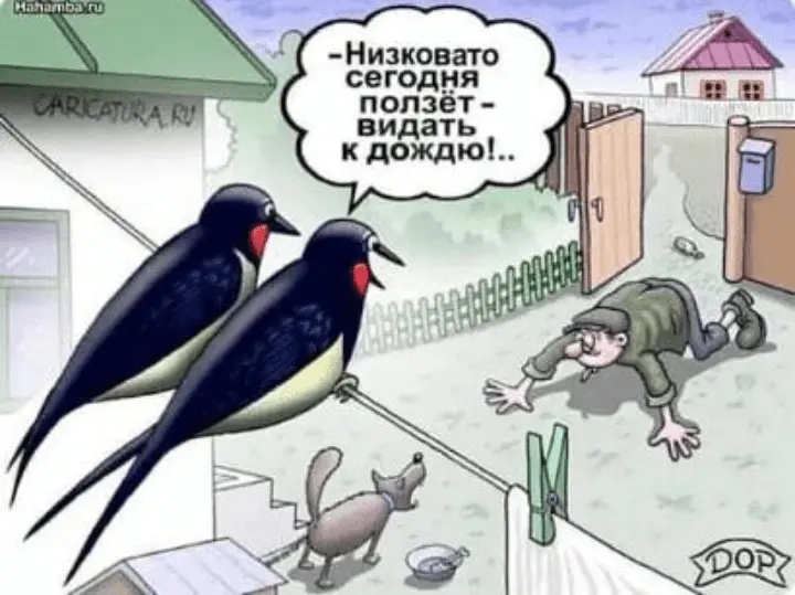 Screenshot_20240326-205613~2.webp