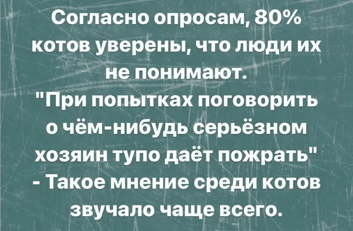 Screenshot_20240331-193034~2.webp