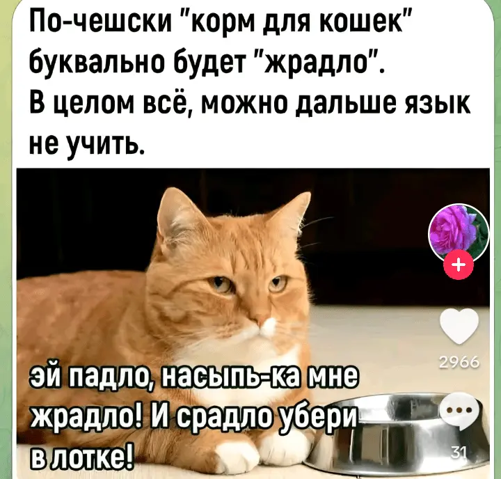 Screenshot_20240417-180035.webp