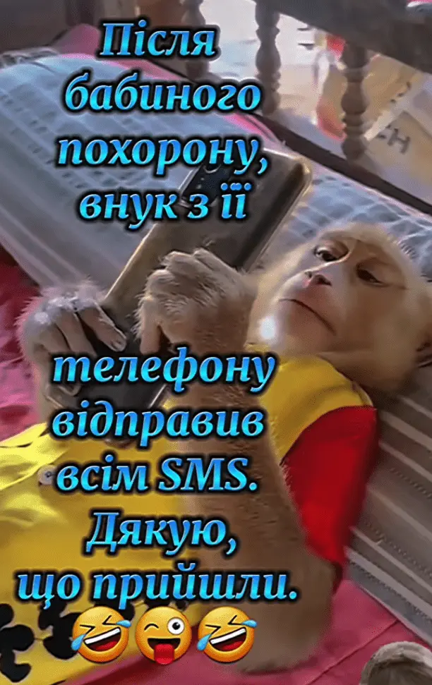 Screenshot_20240421-164555.webp