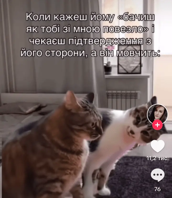 Screenshot_20240509-102526.webp