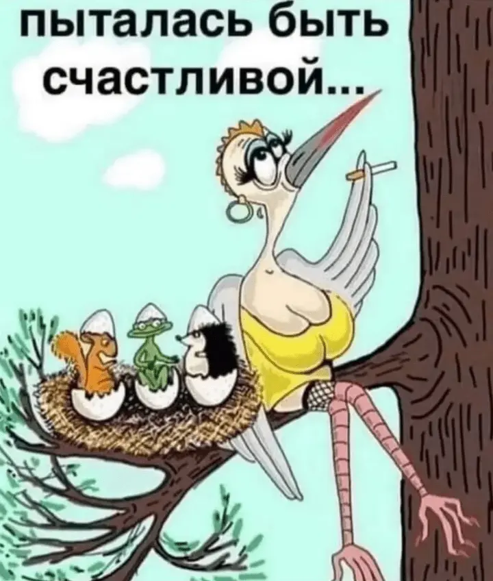 Screenshot_20240514-095409.webp