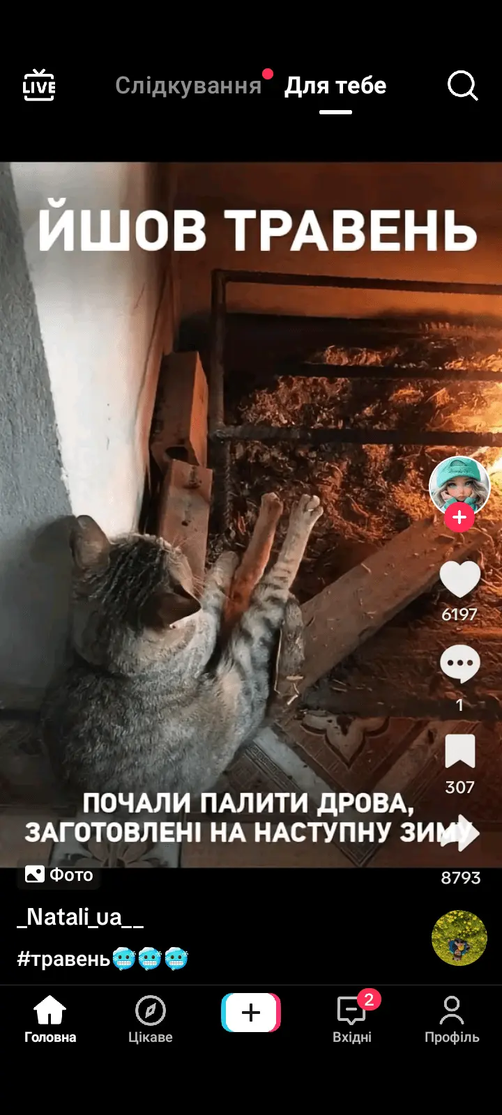 Screenshot_20240514-202735.webp