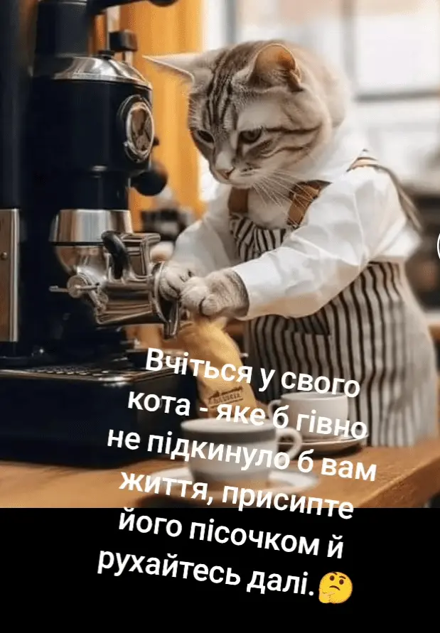Screenshot_20240516-212207.webp