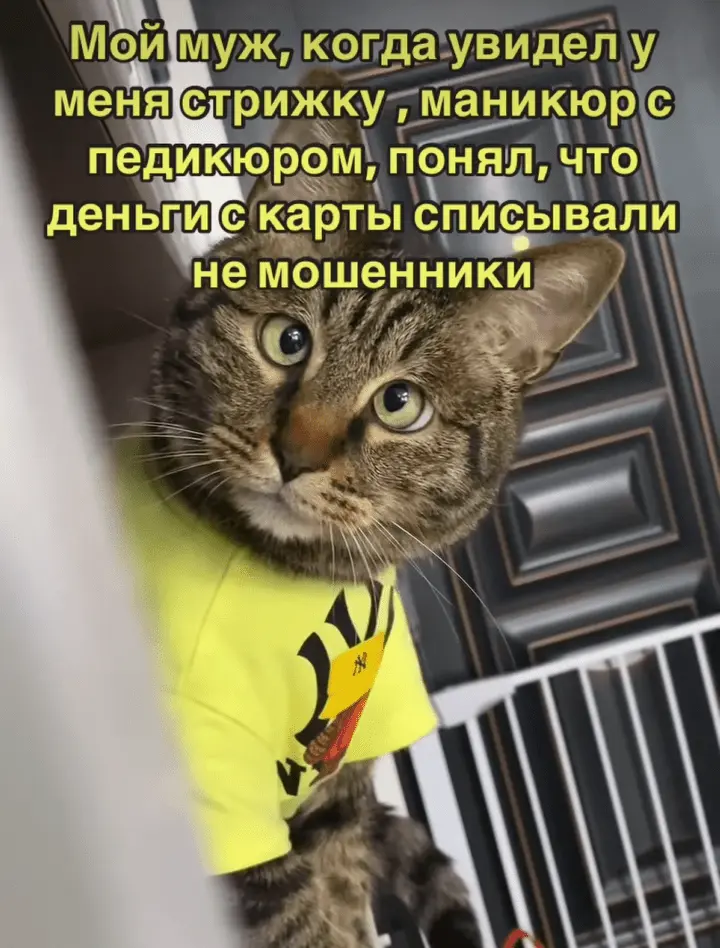 Screenshot_20240517-064453.webp