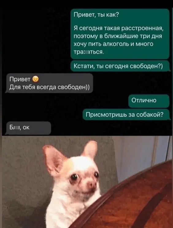 Screenshot_20240518-222342.webp