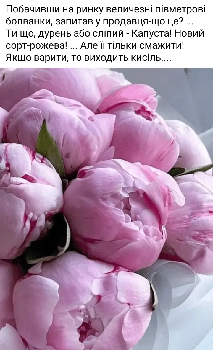 Screenshot_20240520-222523.webp