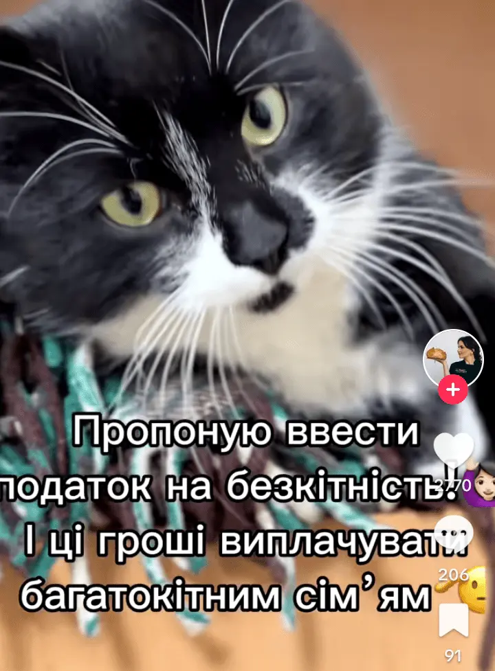 Screenshot_20240522-090121.webp