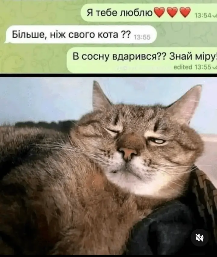 Screenshot_20240525-234928.webp