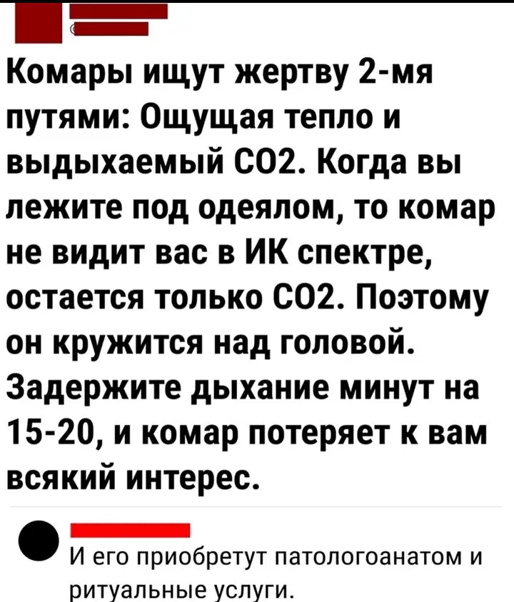 Screenshot_20240607-214242.webp