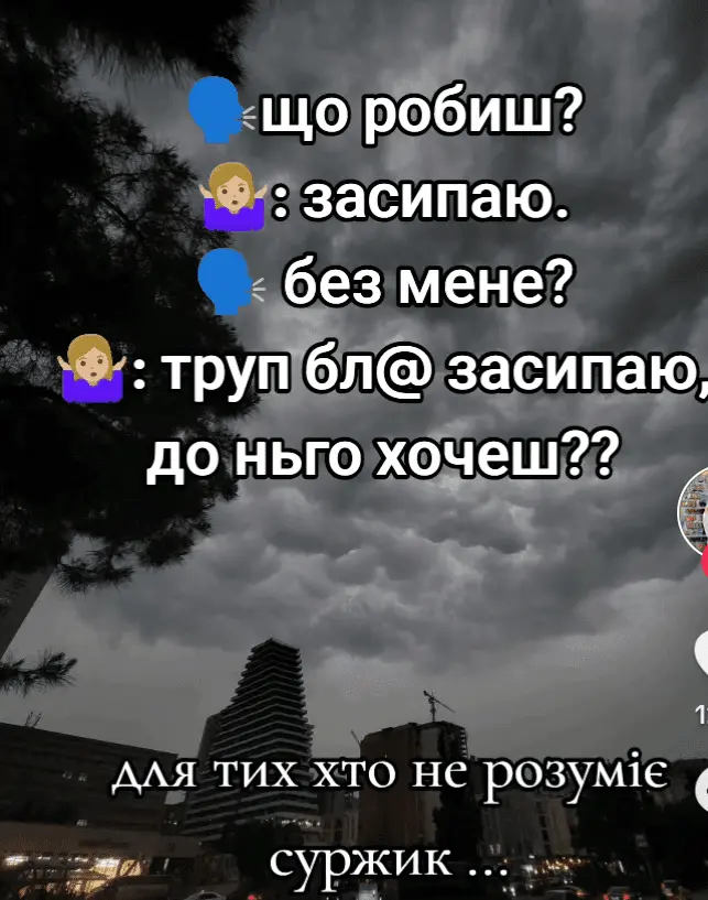 Screenshot_20240608-085346.webp