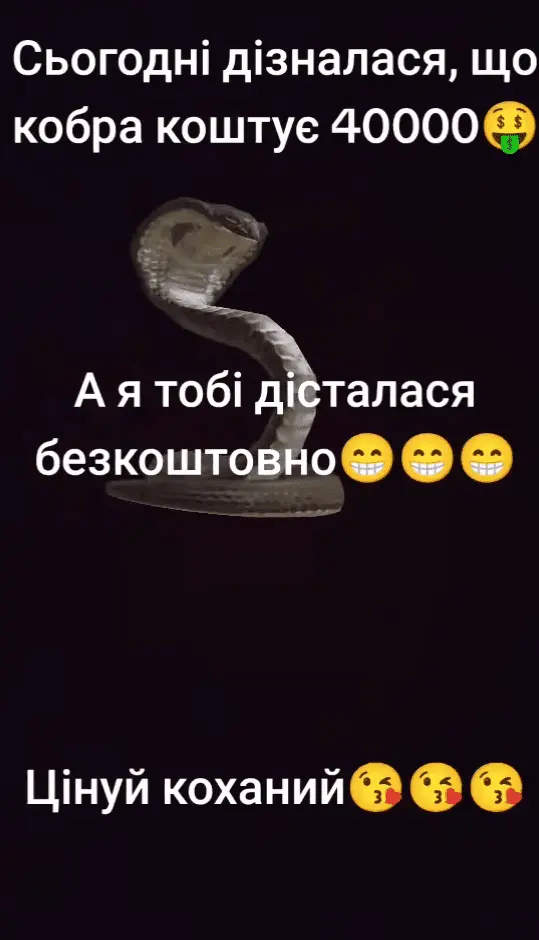Screenshot_20240610-125838.webp