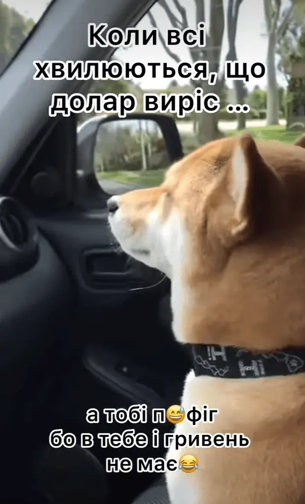 Screenshot_20240612-181657.webp