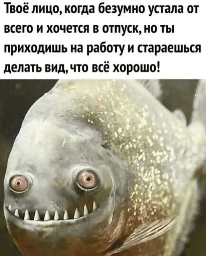Screenshot_20240612-184842.webp