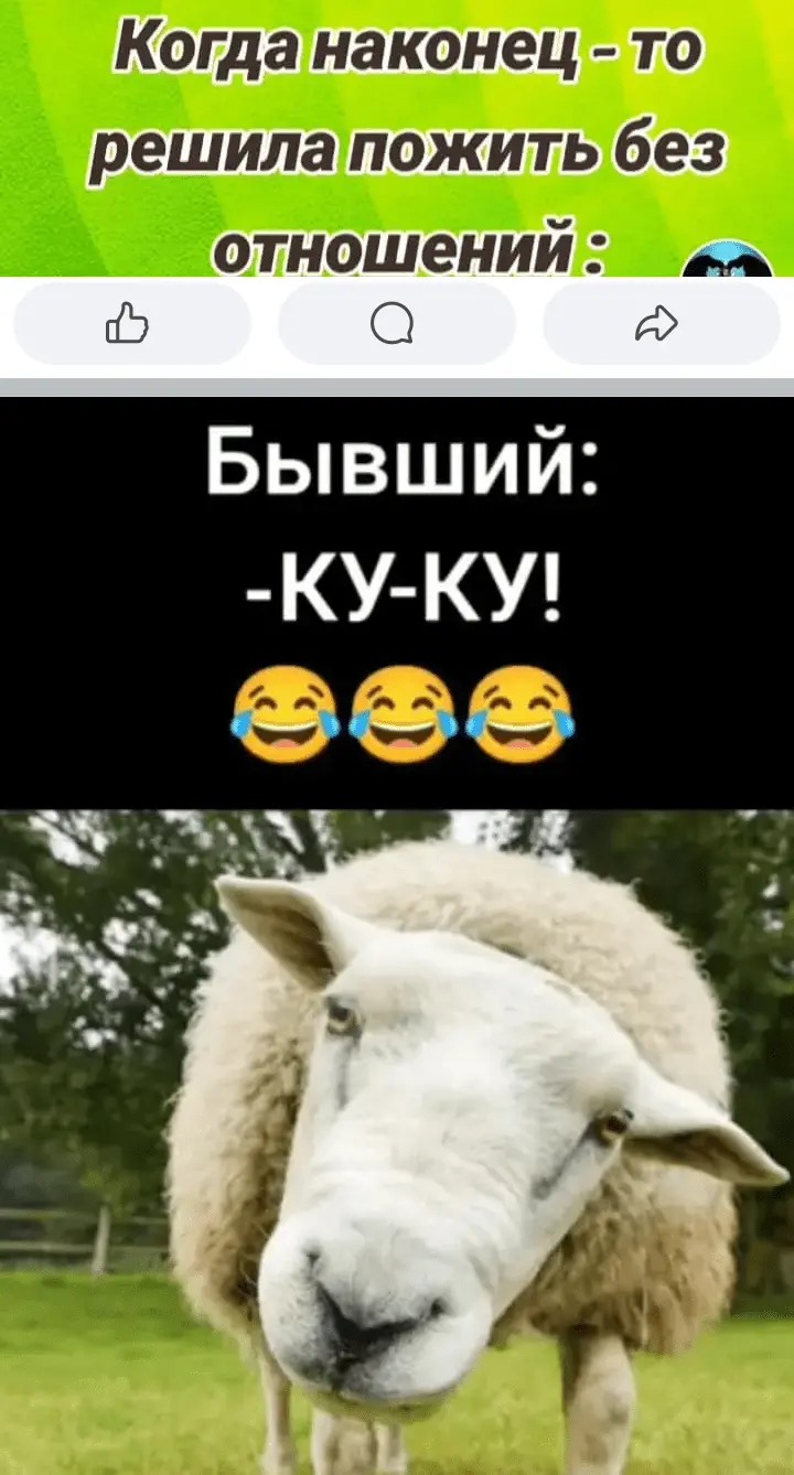 Screenshot_20240628-152837.webp