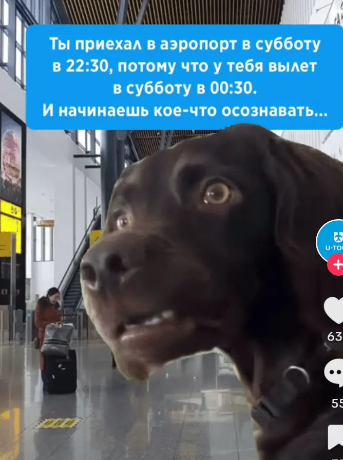 Screenshot_20240702-103103.webp