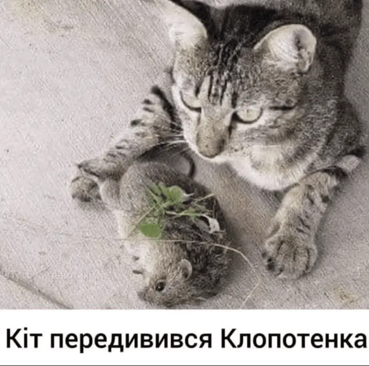 Screenshot_20240709-115512.webp