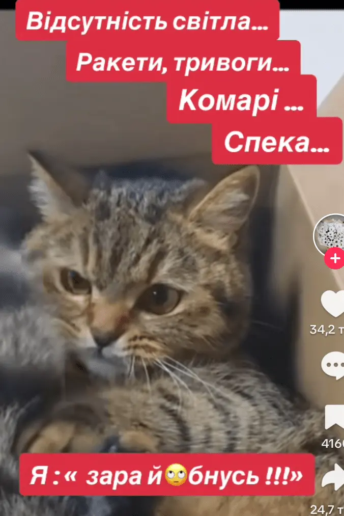 Screenshot_20240710-115816.webp