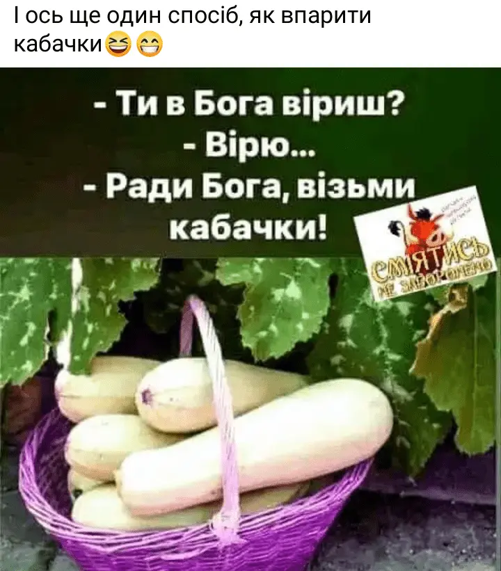Screenshot_20240723-185927.webp