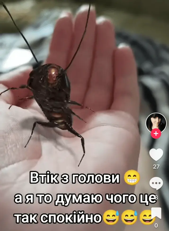 Screenshot_20240723-234044.webp
