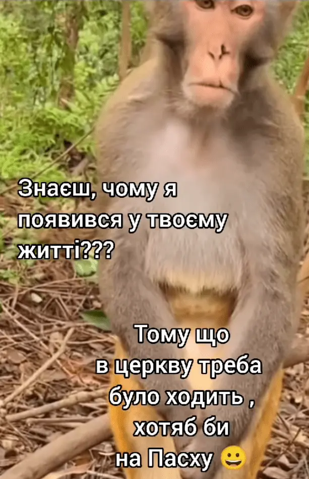 Screenshot_20240726-165205.webp