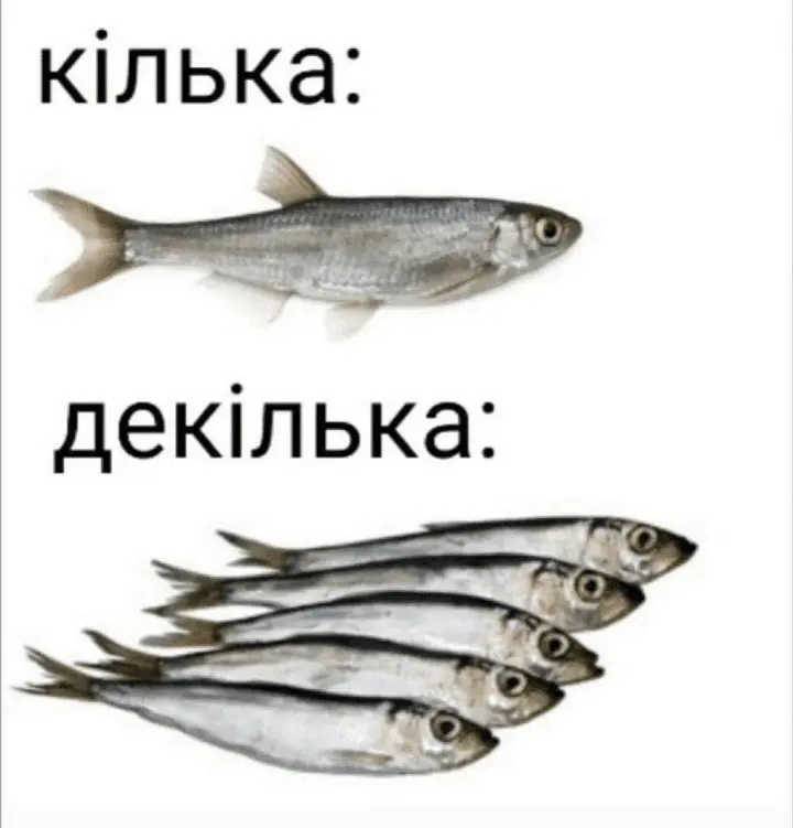 Screenshot_20240729-102320.webp