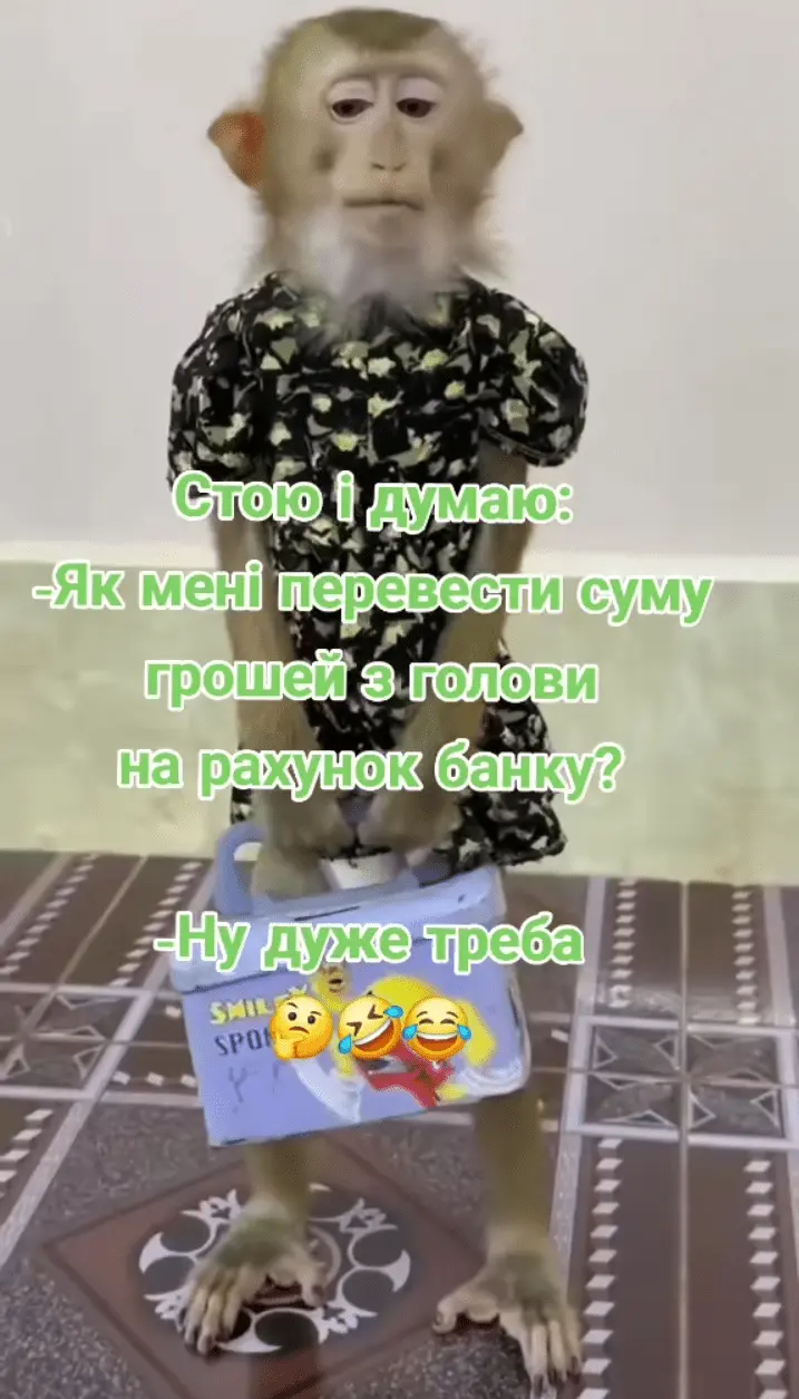 Screenshot_20240730-165655.webp