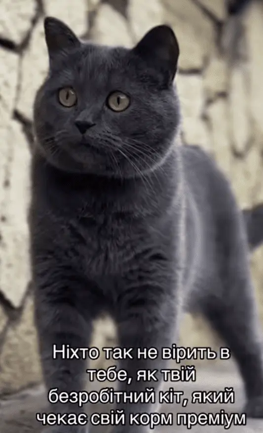 Screenshot_20240803-104932.png