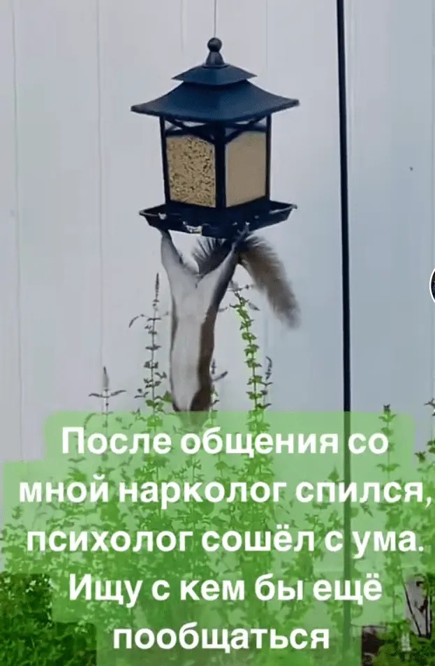 Screenshot_20240804-182040.webp