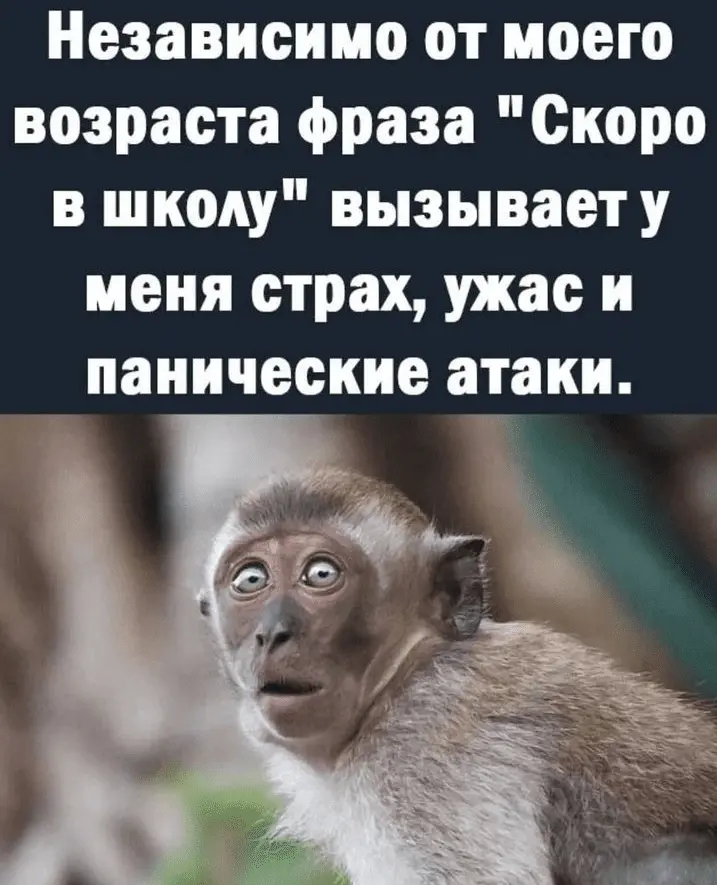 Screenshot_20240807-085919.webp