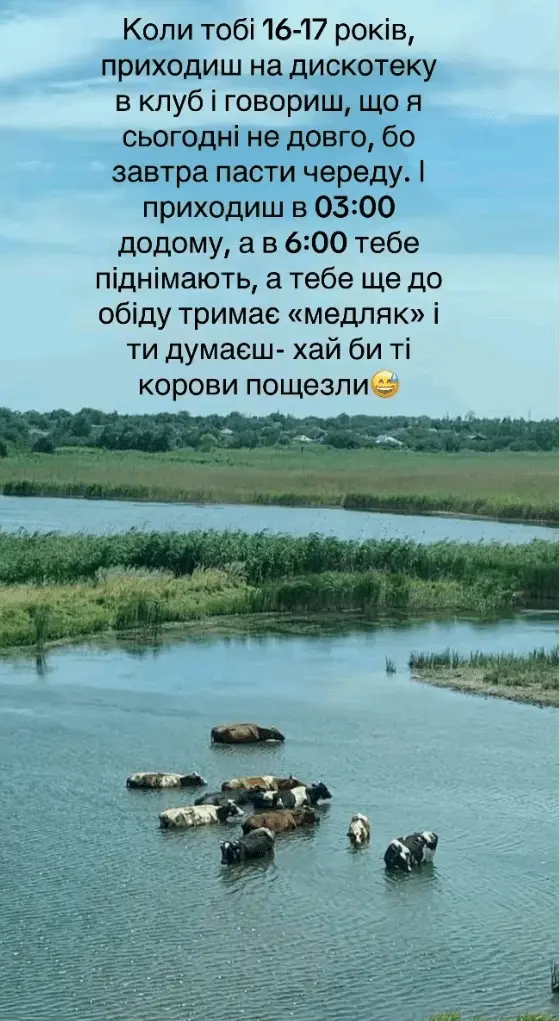 Screenshot_20240807-102831.webp