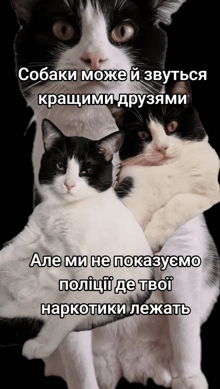 Screenshot_20240807-120217.webp