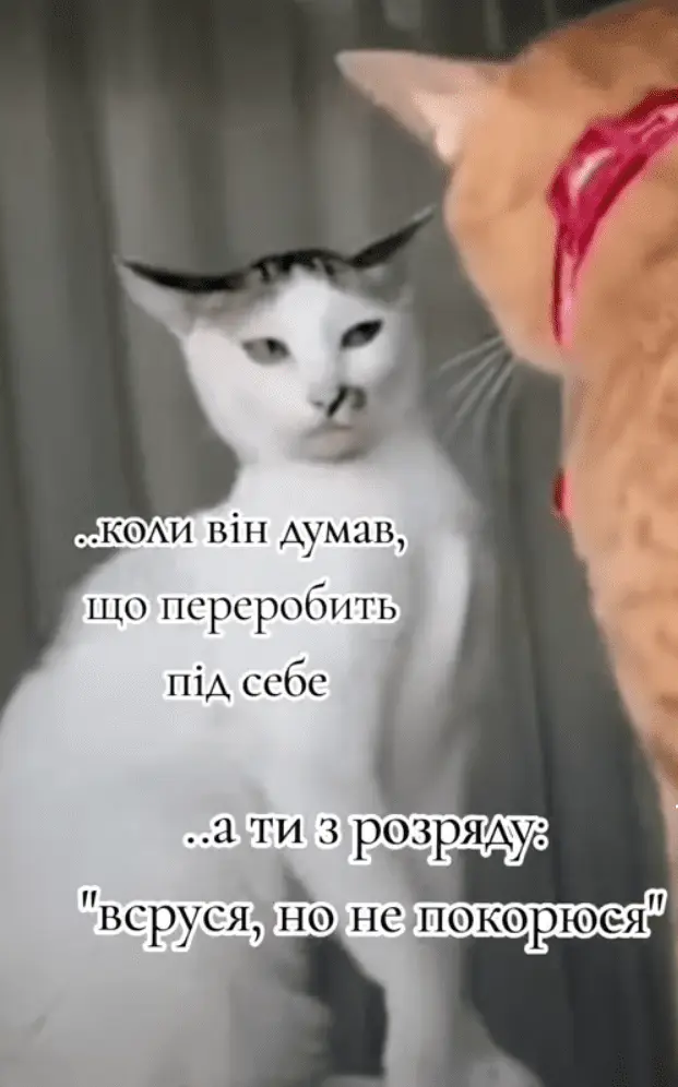 Screenshot_20240816-171245.webp