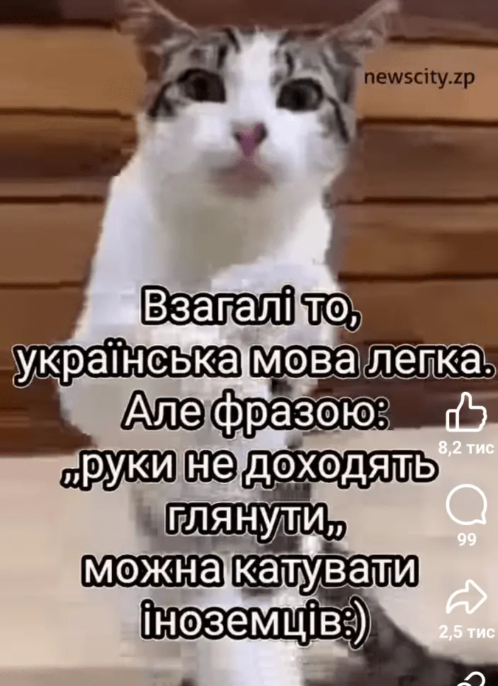 Screenshot_20240916-161636.webp