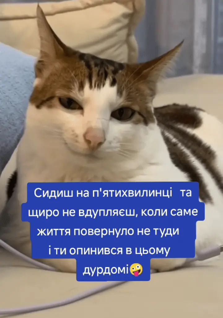 Screenshot_20240918-101009.webp