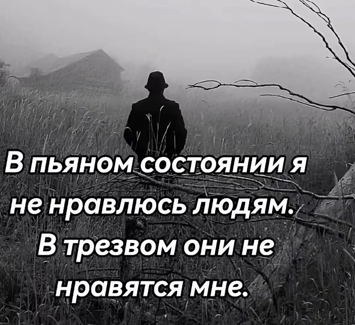 Screenshot_2026-04-12-02-05-20-649_com.zhiliaoapp.musically-edit.webp