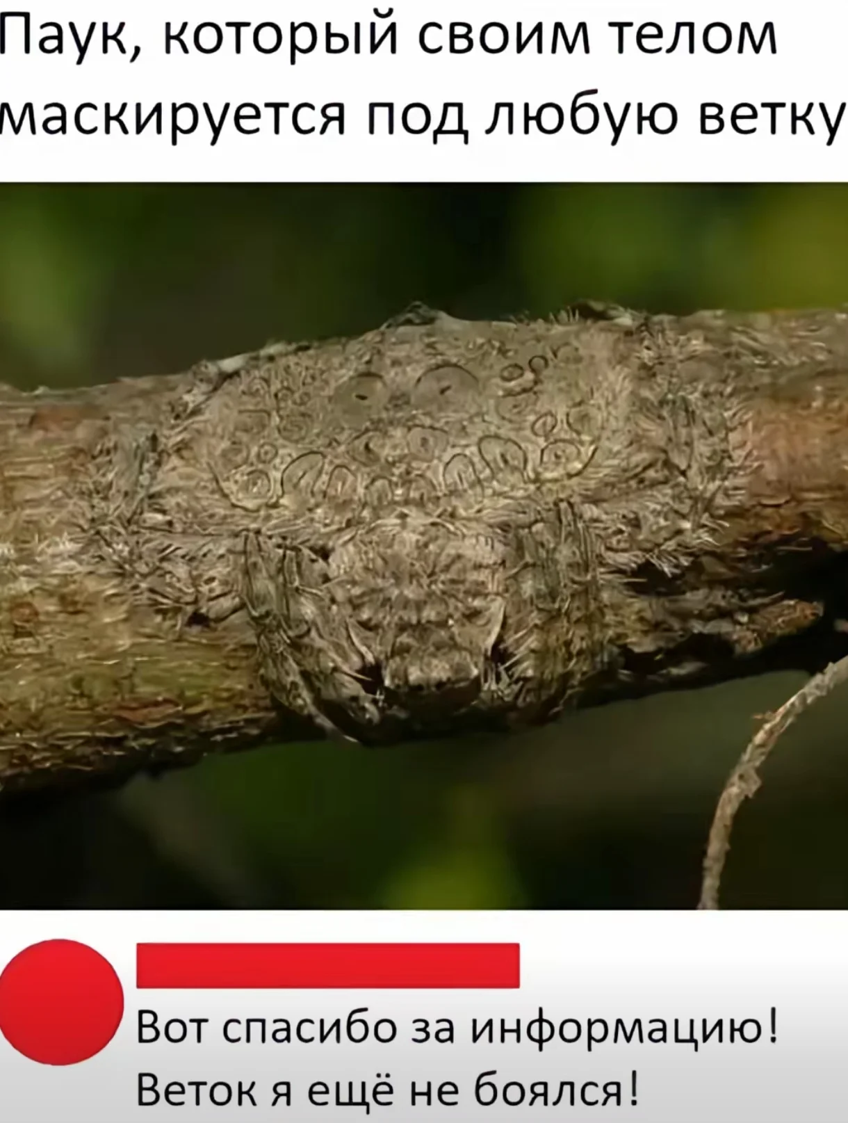 Screenshot_2026-04-13-19-56-15-123_com.zhiliaoapp.musically-edit.webp