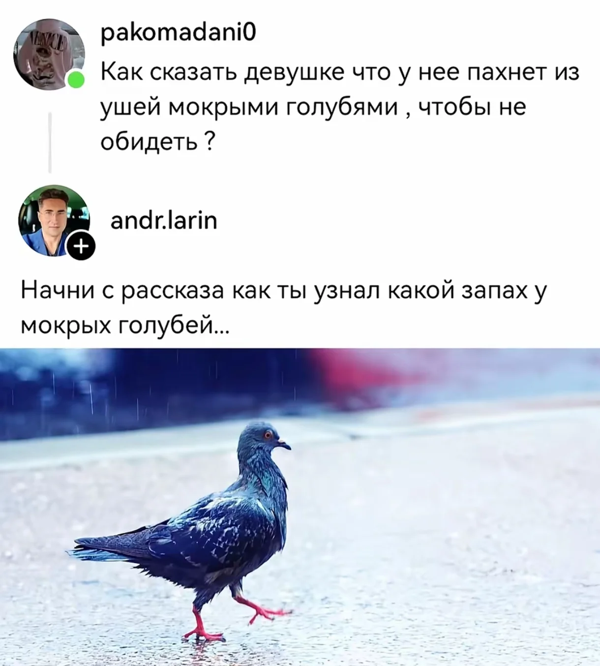 Screenshot_2026-04-15-19-43-00-757_com.zhiliaoapp.musically-edit.webp