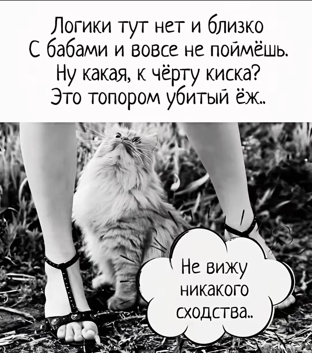 Screenshot_2026-04-23-21-27-46-886_com.zhiliaoapp.musically-edit.webp