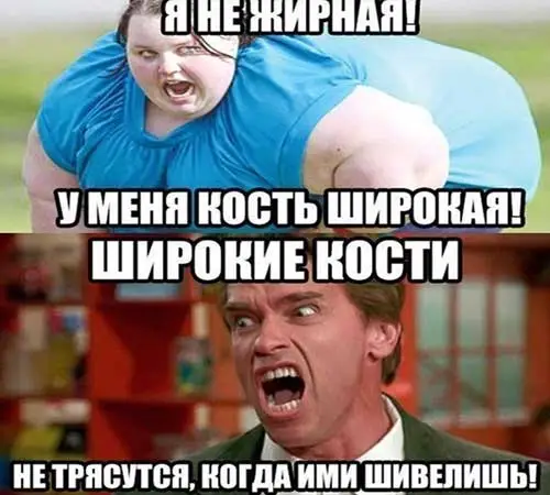 shutki-pro-zhirnyh.webp