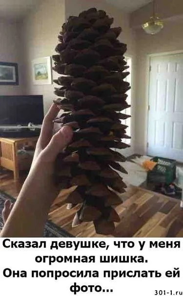 skazal-devushke-chto-u-menya-bolshaya-shishka_lTsUxgdaKF.webp